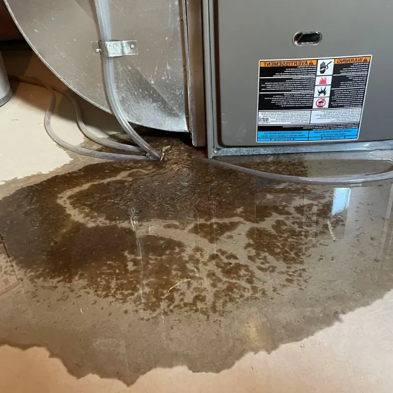 Pipe Burst and Leak Restoration in West Greenwich, RI