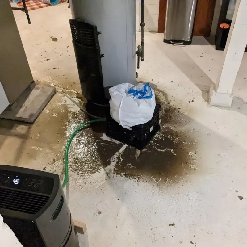 Sewage Backup Cleanup Service in West Greenwich, RI